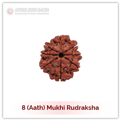 8 (Aath) Mukhi Rudraksha