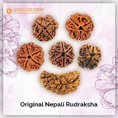 Original Nepali Rudraksha