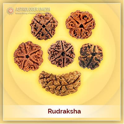 Original Rudraksha Beads