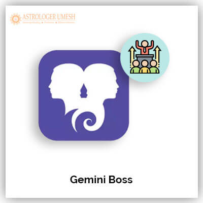 Gemini Boss